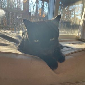 Meet your Posher, Josie